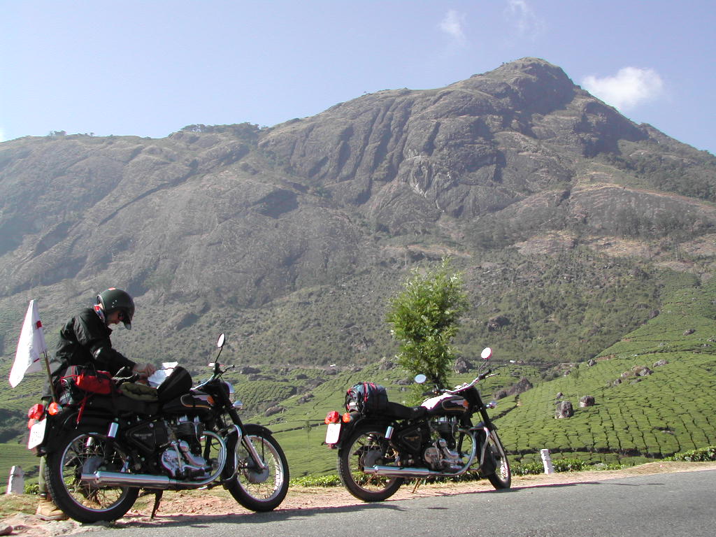 Mountains of India (Tea)